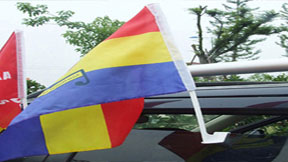 Various vehicle flag